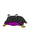 Not Today - cat