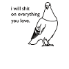 Dis l'amour des oiseaux