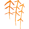Tannen Runen / Wald Symbol