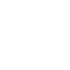 NEW YORK SKULL