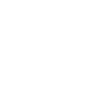 Schornsteinfeger