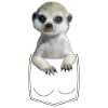 Erdmännchen Meerkat in Brusttasche Hemdtasche