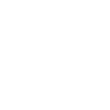 Vizsla