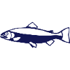 truite poisson peche silhouette