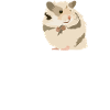 hamster