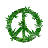 Peacezeichen