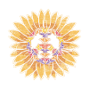 Peace sunflower 70s