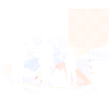 HRVATSKA VOJSKA