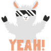 Cool Llama