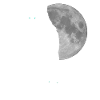 Wolf Wlfe Wolfsrudel Geschenk