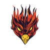 Eagle bird head fire bird