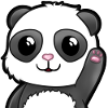 WinkePanda