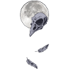 The Crow