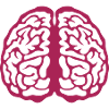 cerveau cervelle face 3 8