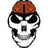 brain brain death brain skull