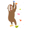 Klettern Faultier