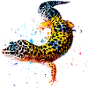 Leopard Gecko Reptile Keeper Lizard Akvarel