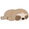 Sloth coffee caffeine