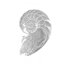 The Pearly Nautilus