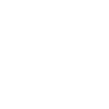 Ferret