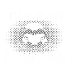 Ferret
