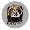 Ferret