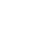Ferret