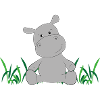 Hippopotamus on meadow