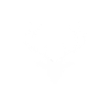 Deer antlers white