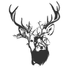 Wild life - deer wilderness
