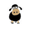 Black cute sheep