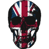KINGDOM SKULL