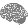 brain brain