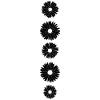 Daisies black