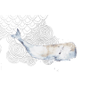 Floating sperm whale