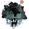 Enchanted forest