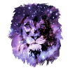 Leo space stars