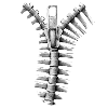 Skeleton zipper bone