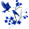 Blue bird