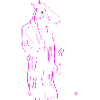 Cheval néon