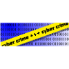 cyber crime