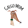 Galgo Mom 6 Galgo tigrato rosso