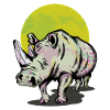 Rhino rhinoceros
