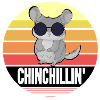 chinchilla