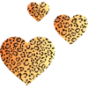 panther hearts