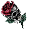 Pink skull // Pink skull