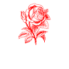 Fuck You Very Much