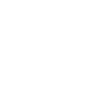Professional pet sitter