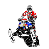 Snowmobil - snowmobile - snowmobile
