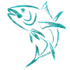 Thon pêche